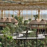 Edenya, un nouveau monde spectaculaire à Pairi Daiza