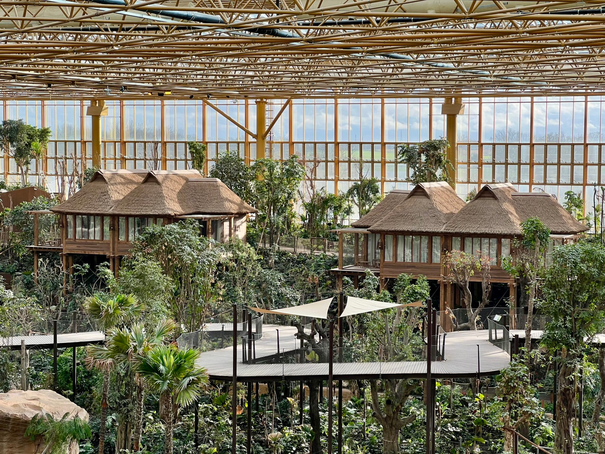 Edenya, un nouveau monde spectaculaire à Pairi Daiza